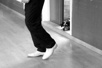 Partner Dancing and Workshops